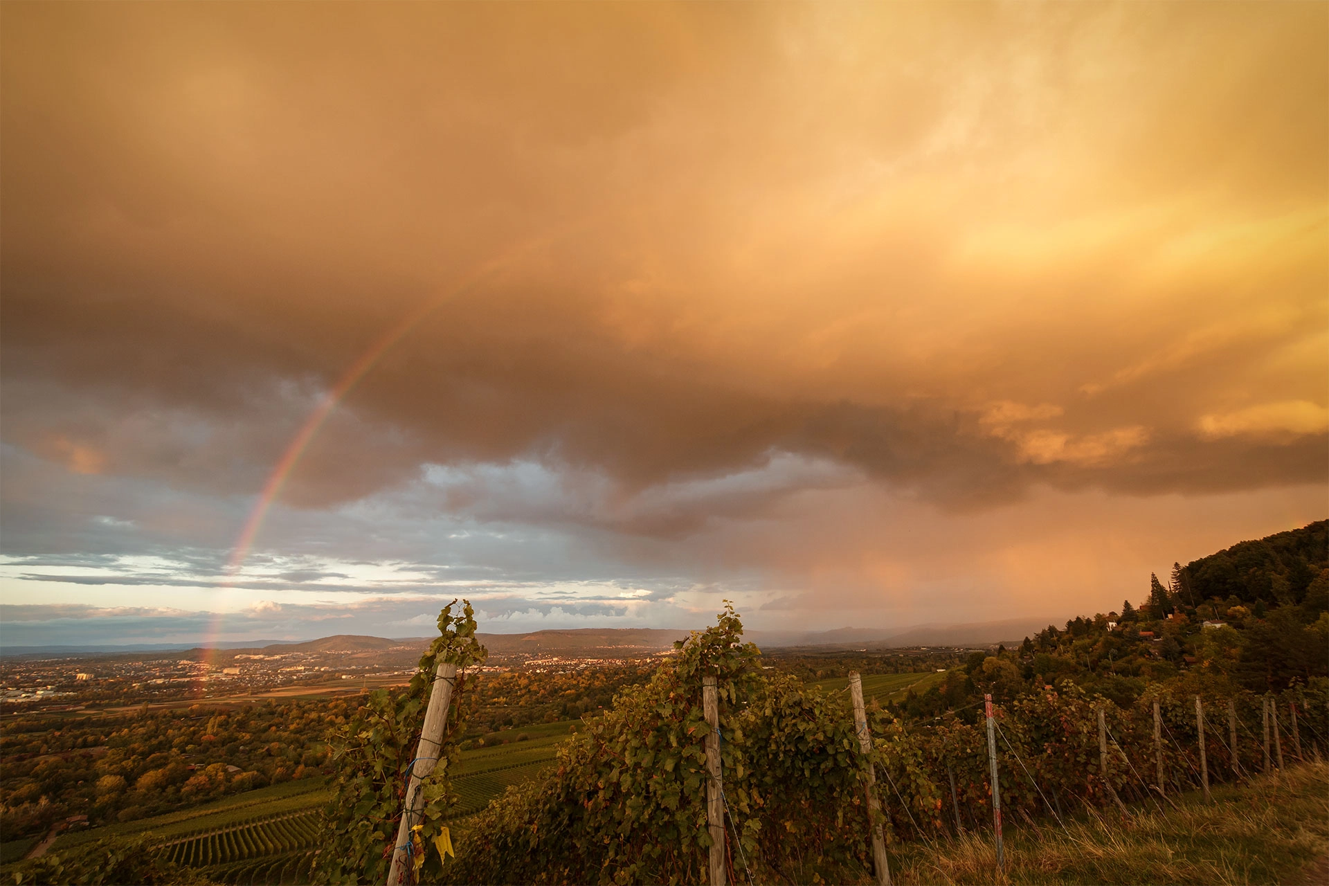 Regenwolken und Regenbogen im Weinberg Kappelberg